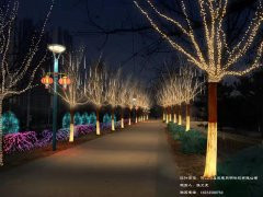 迁西县建设局节日亮化设计