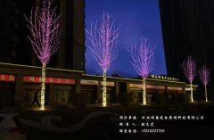 天津宝坻恒大御景半岛节日亮化设计